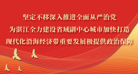 图解工作报告 | 中国共产党湛江市第十二届纪律检查委员